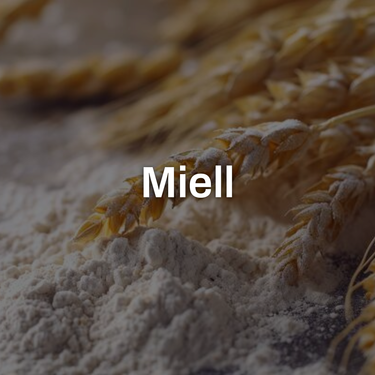 Miell